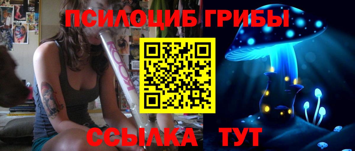 Псилоцибиновые грибы MAGIC MUSHROOMS  Вход с VPN  Псилоцибиновые грибы мицелий  Балашиха 